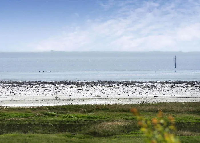 0381-romo-sonder-frankel-44