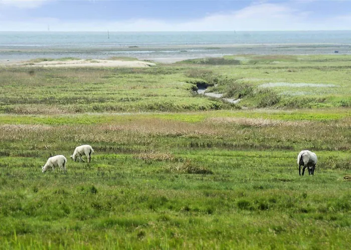 0381-romo-sonder-frankel-44